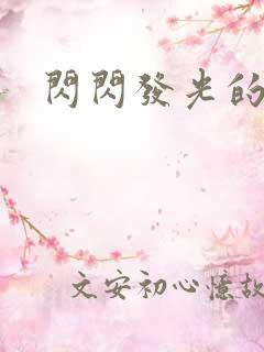 闪闪发光的大人