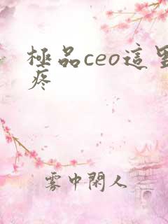 极品ceo这里疼