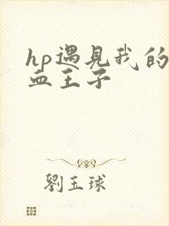 hp遇见我的混血王子