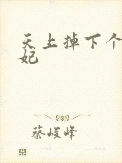 天上掉下个奇王妃