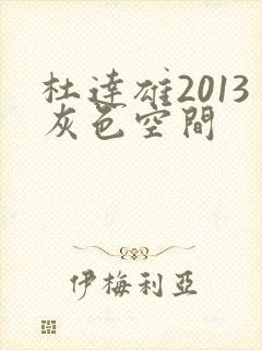 杜达雄2013灰色空间