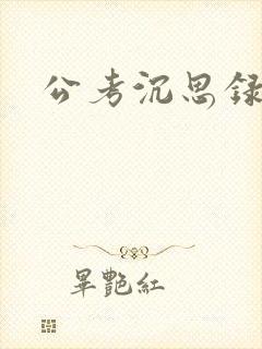 公考沉思录