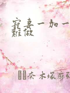 宠妻一加一老婆难做