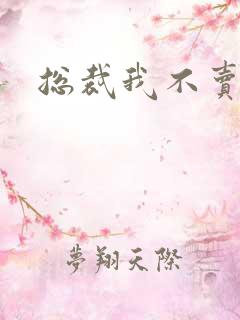 总裁我不卖宝宝