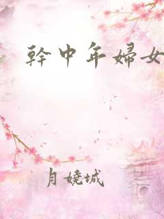 干中年妇女小说
