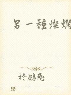 另一种灿烂生活