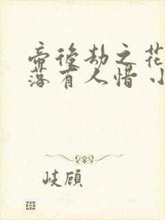 帝后劫之花开花落有人惜 小说