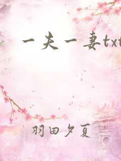 一夫一妻txt
