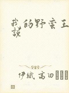 我的野蛮王妃小说
