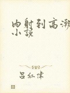 内射到高潮的H小说