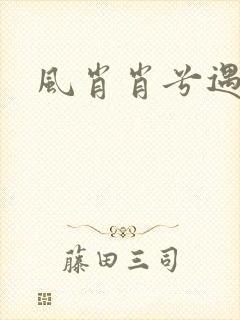 风肖肖兮遇子期