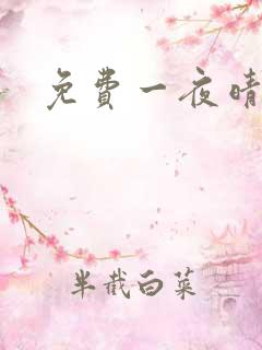 免费一夜晴交友