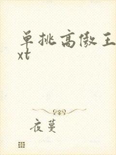单挑高傲王子txt