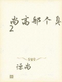 尚高那个臭小子2