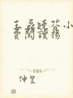 王磊晓芬小说免费阅读杨