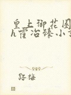 皇上御花园hlh霍冶臻小说