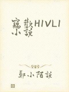 窃欢H1VL1小说