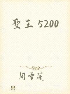 圣王 5200