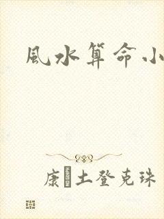 风水算命小说