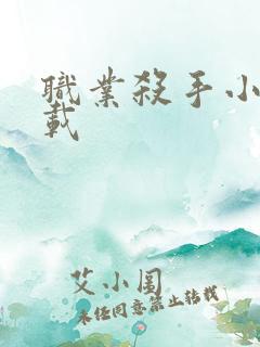 职业杀手小说下载