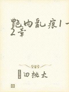 艳肉乱痕1一12章