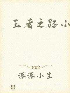 王者之路小说