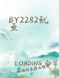 BY2282鱿鱼