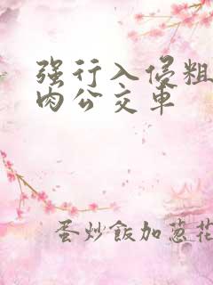 强行入侵粗暴h肉公交车