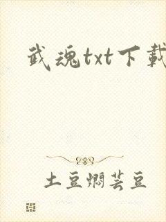 武魂txt下载