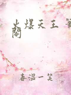 火爆天王 笔趣阁