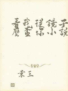 看我从镜子里怎么查你小说