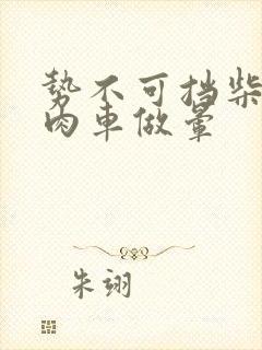 势不可挡柴鸡蛋肉车做晕