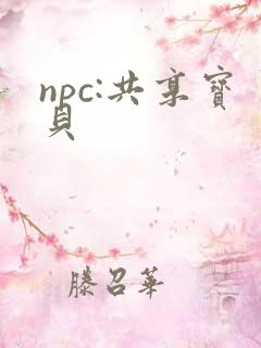 npc:共享宝贝