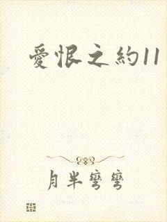 爱恨之约11