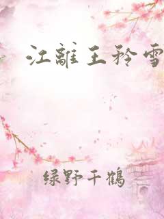 江离王矜雪小说