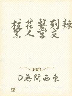 校花系列辣h文黑人宫交