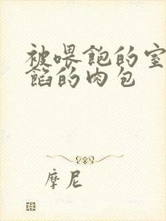 被喂饱的室友爆馅的肉包