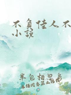 不负佳人不负卿小说