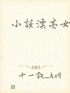 小说漂亮女局长