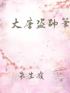 大唐盗帅笔趣阁