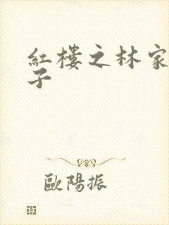 红楼之林家庶长子