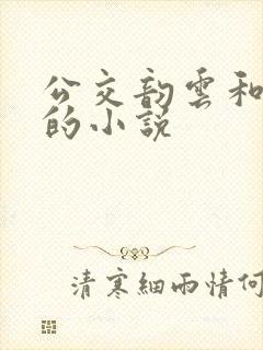 公交韵云和小健的小说