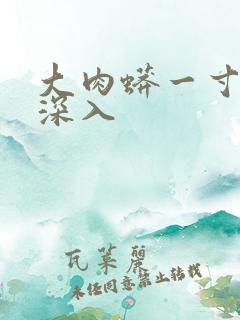 大肉蟒一寸寸地深入