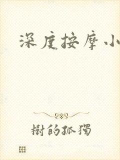 深度按摩小说