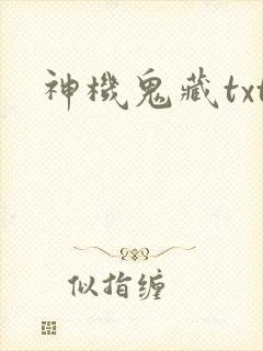 神机鬼藏txt