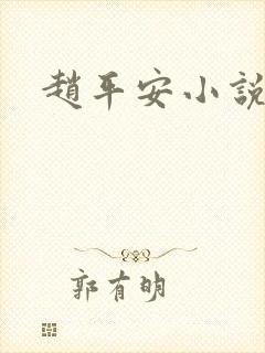 赵平安小说主角