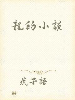 龙的小说