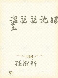 温瑟瑟沈昭摄政王