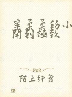 宁柔柔的小泬撑开到极致