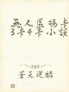 无人区码卡二卡3卡4卡小说